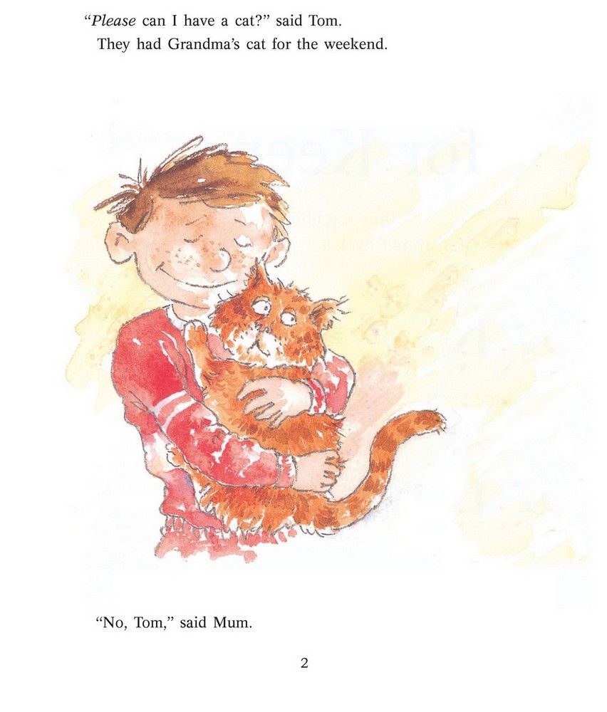 Cambridge StoryBook 4 A Cat for Tom - Rosemary Hayes ()