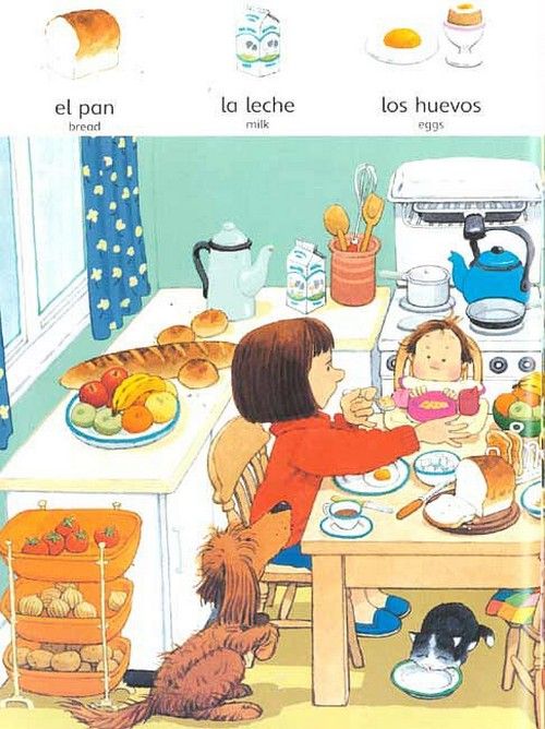 Picture Dictionary in Spanish - Felicity Brooks ()