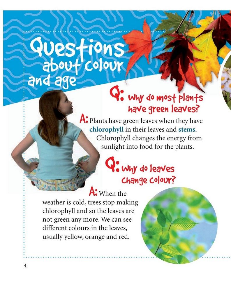 Level 3 Why Do Leaves Change Colour? - Rachel Griffiths ()