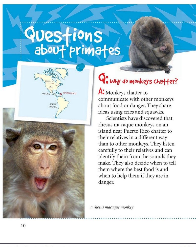 Level 5 Why Do Monkeys Chatter? - Helen Bethune (The book)