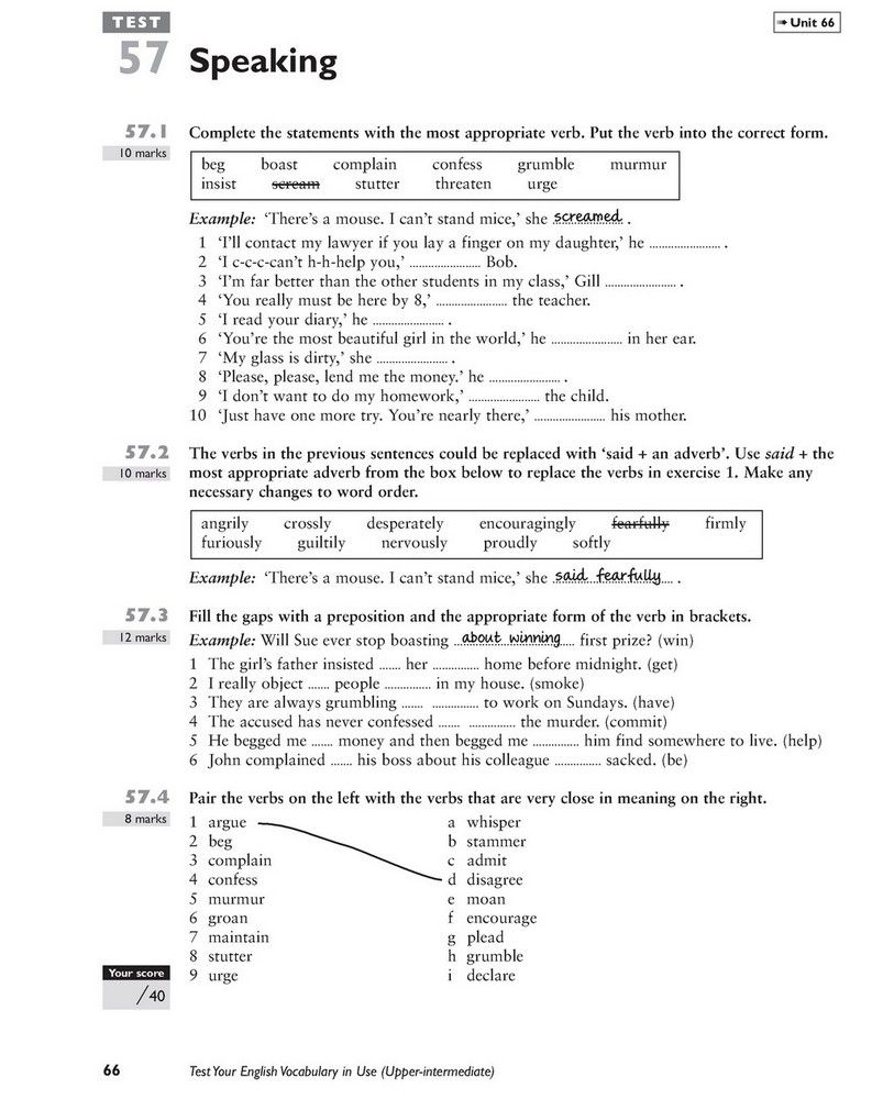 Test Your English Vocabulary in Use Upper - Michael Mccarthy, Felicity O`Dell ()