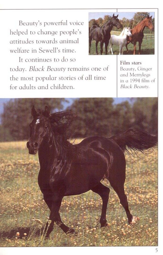 Black Beauty -  (The book)