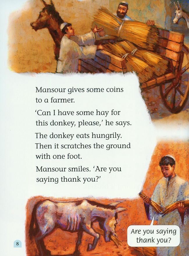 Mansour and the Donkey -  (The book)