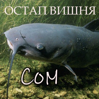 сом_0