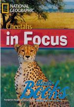Waring Rob - Cheetahs in focus! with Multi-ROM Level 2200 B2 (British english ()