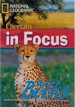 Waring Rob - Cheetahs in focus! Level 2200 B2 (British english) ()