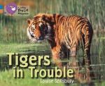 Луиз Шпильсбури - Big cat Progress 4/12. Tigers in Trouble ()