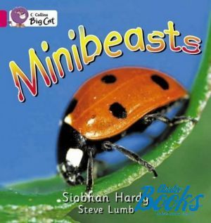  "Minibeasts ()" - Steve Lumb, Siabhan Hardy