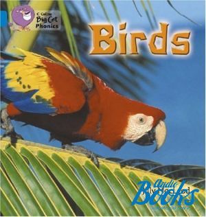 The book "Big cat Phonics 4. Birds" -  
