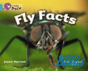 The book "Fly facts ()" -  , Andy Keylock