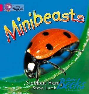  "Minibeasts, Workbook ( )" - Siabhan Hardy, Steve Lumb