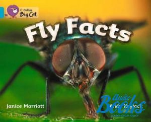 The book "Fly facts, Workbook ( )" -  , Andy Keylock