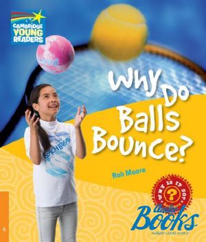 The book "Level 6 Why Do Balls Bounce?" - Rob Moore