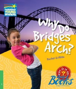 The book "Level 3 Why Do Bridges Arch?" - Rachel Griffiths