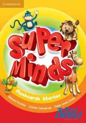 Flashcards "Super Minds Starter Cards" - Herbert Puchta, Gunter Gerngross, Peter Lewis-Jones