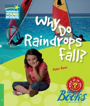 The book "Level 3 Why Do Raindrops Fall?" - Peter Rees
