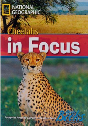  +  "Cheetahs in focus! with Multi-ROM Level 2200 B2 (British english)" - Waring Rob