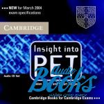 Helen Naylor - Insigt into PET Audio CDs (AudioCD)