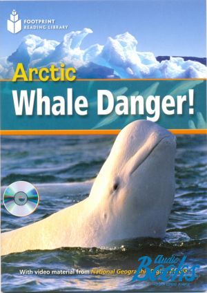 Book + cd "Arctic whale danger! with Multi-ROM Level 800 A2 (British english)" - Waring Rob
