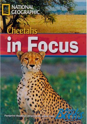The book "Cheetahs in focus! Level 2200 B2 (British english)" - Waring Rob