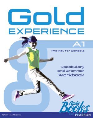  "    Gold Experience A1 Workbook without key         " -  