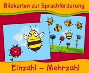 The book "Bildkarten: Einzahl - Mehrzahl" - Lena Morgenthau