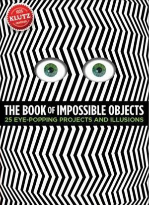 The book "The book of impossible objects" -  
